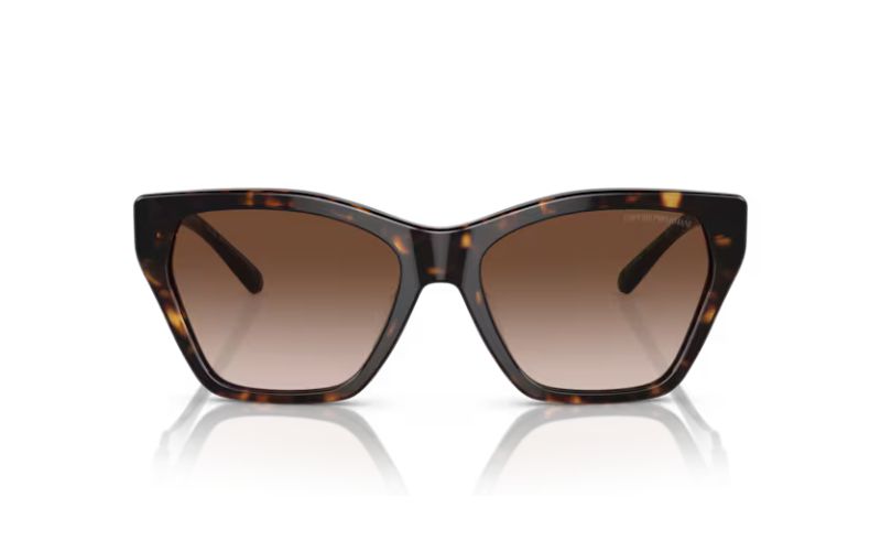 EMPORIO ARMANI  4203