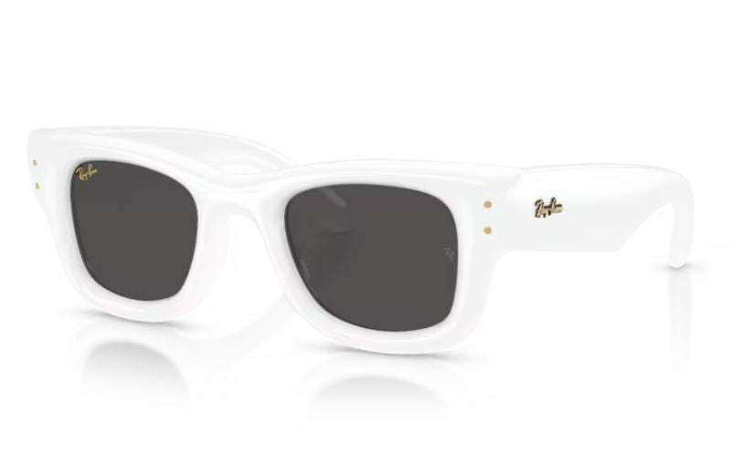 RAY BAN WAYFERER  PUFFER