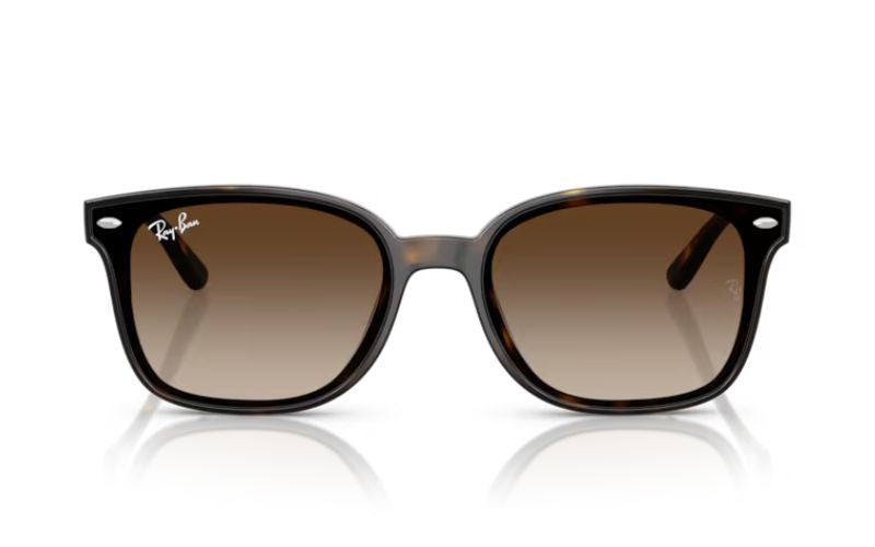 RAY BAN 4461