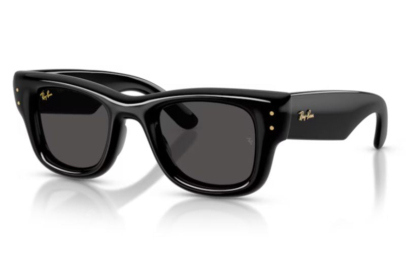 RAYBAN WAYFARER PUFFER