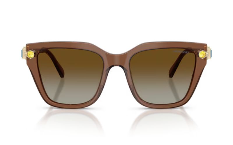 SWAROVSKI 6041 POLARIZED