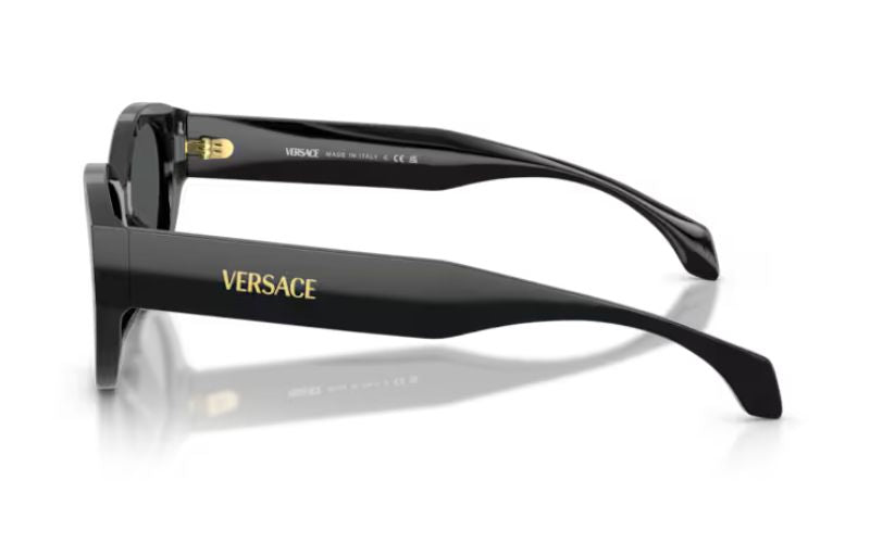 VERSACE 4495
