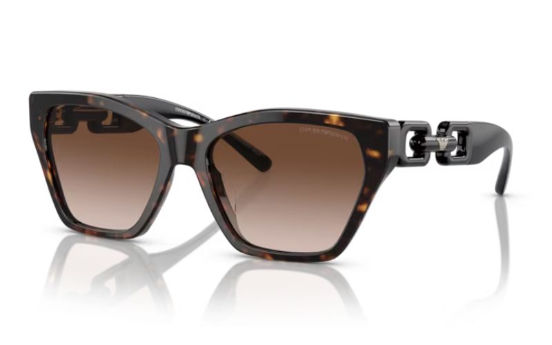 EMPORIO ARMANI  4203