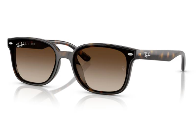 RAY BAN 4461