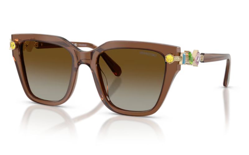 SWAROVSKI 6041 POLARIZED