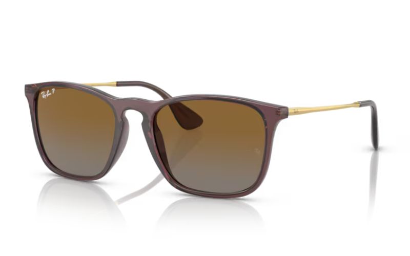 RAY BAN CHRIS POLARIZED