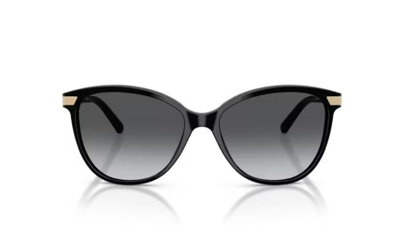 BURBERRY 4216 POLARIZED